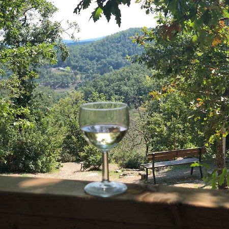 Safaritent Glamping Orlando In Chianti Cavriglia Εξωτερικό φωτογραφία
